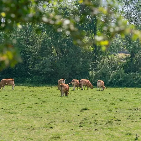 Jeppe - 50m To The Fjord By Interhome * Aabenraa