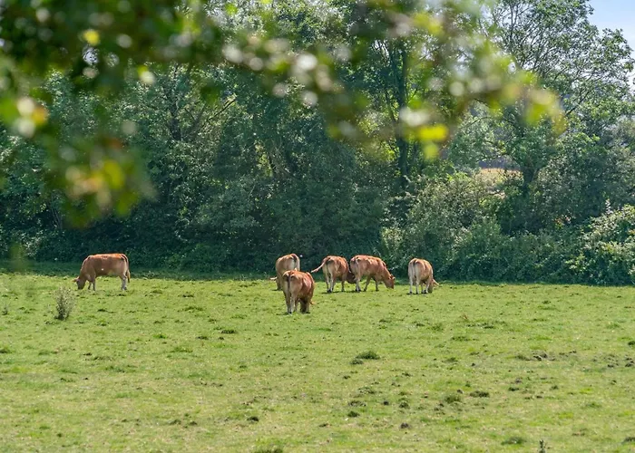 Jeppe - 50m To The Fjord By Interhome * Aabenraa
